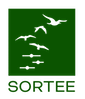 SORTEE member voices – Bárbara Freitas logo